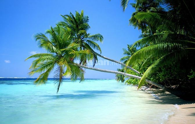 Tuyển nam/nữ bảo vệ trực an ninh, giám sát camera lương cao 57954700 Tuyển nam/nữ bảo vệ trực an ninh, giám sát camera lương cao