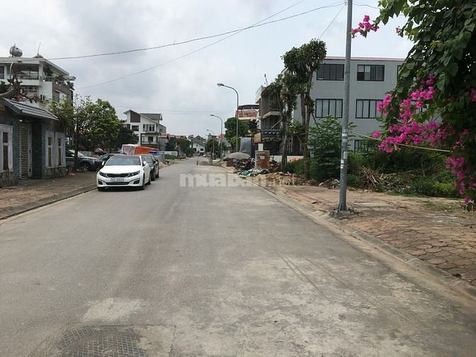 Bán 207m2 đường vỉa hè 15m khu 31ha TT Trâu Quỳ chỉ 43,5tr/m2 58003503 Bán 207m2 đường vỉa hè 15m khu 31ha TT Trâu Quỳ chỉ 43,5tr/m2