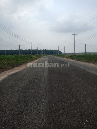 Bán đất mặt tiền, huyện Chơn Thành Bình Phước gần Khu công nghiệp 49483068 Bán đất mặt tiền, huyện Chơn Thành Bình Phước gần Khu công nghiệp