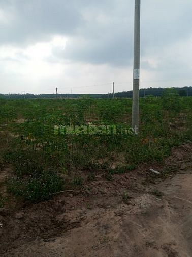 Bán đất mặt tiền, huyện Chơn Thành Bình Phước gần Khu công nghiệp 49483068 Bán đất mặt tiền, huyện Chơn Thành Bình Phước gần Khu công nghiệp
