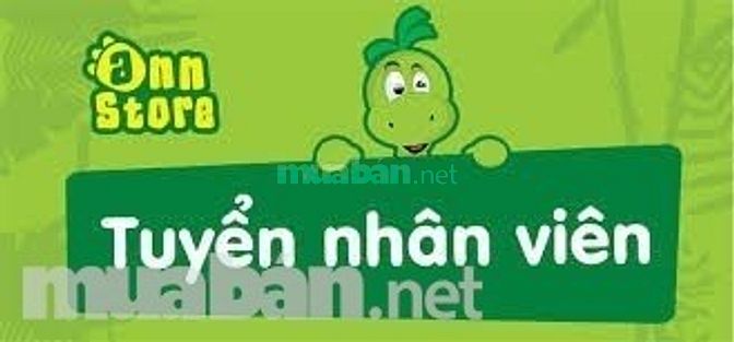 Cần tuyển gấp nhân viên Thủ quỹ cho năm mới 49476461 Cần tuyển gấp nhân viên Thủ quỹ cho năm mới