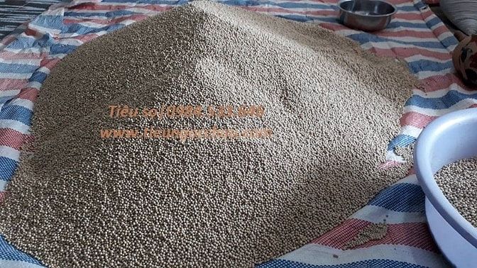 Bán tiêu sọ sạch làm thủ công làm quà biếu tặng 49476782 Bán tiêu sọ sạch làm thủ công làm quà biếu tặng