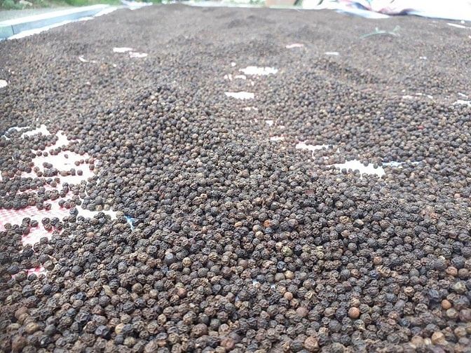 Bán tiêu sọ sạch làm thủ công làm quà biếu tặng 49476782 Bán tiêu sọ sạch làm thủ công làm quà biếu tặng