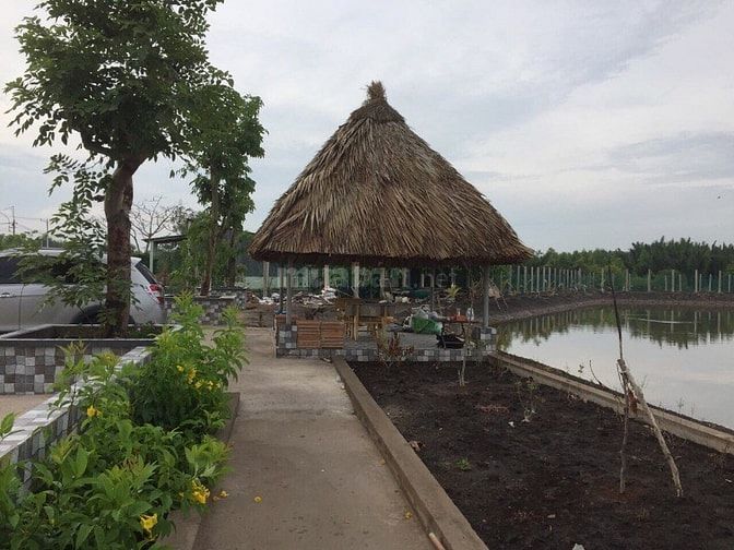 Nhà Mặt tiền Lý Nhơn,An Thới Đông Cần Giờ 20.530m ( thổ cư 2500m) 49710749 Nhà Mặt tiền Lý Nhơn,An Thới Đông Cần Giờ 20.530m ( thổ cư 2500m)
