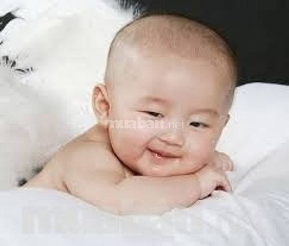 Bé nhà mình 3 tuổi, bé hiếu động nhưng biếng ăn, cần người chăm sóc bé 49850647 Bé nhà mình 3 tuổi, bé hiếu động nhưng biếng ăn, cần người chăm sóc bé