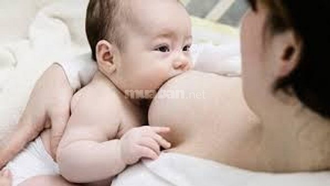 Cần 1 người làm việc nhà, không quan trọng vùng miền 49857378 Cần 1 người làm việc nhà, không quan trọng vùng miền