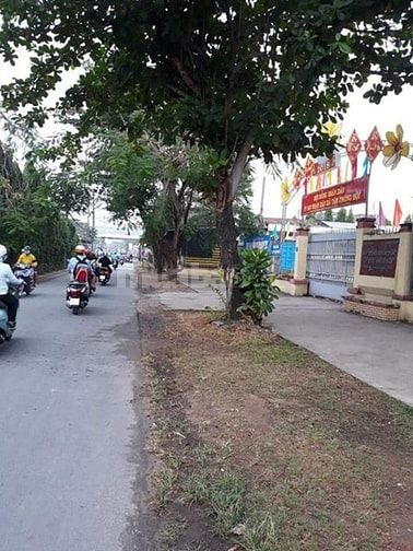 Cần Bán 165M2 Đất MT Đường 28, Tân Thông Hội, Củ Chi 49890683 Cần Bán 165M2 Đất MT Đường 28, Tân Thông Hội, Củ Chi