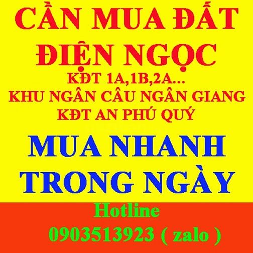 Cần mua đất gấp tại điện ngọc mua nhanh trong ngày giá cao 49891770 Cần mua đất gấp tại điện ngọc mua nhanh trong ngày giá cao