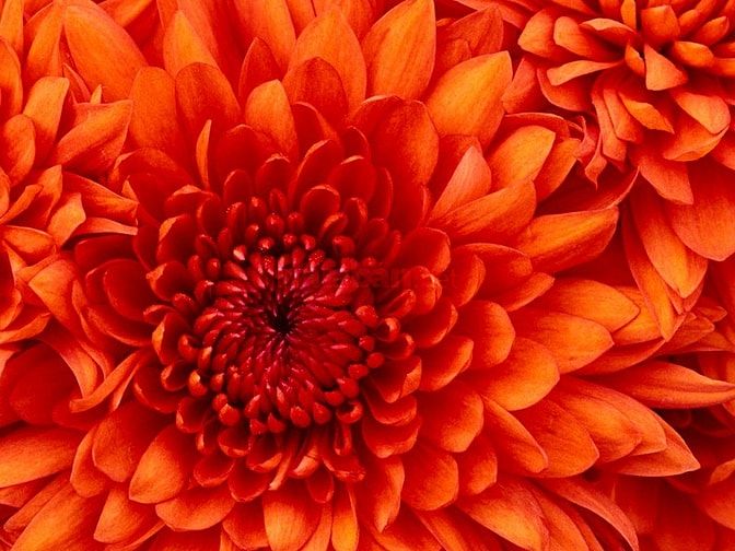 Bán tòa nhà văn phòng 8 tầng mặt phố Nguyễn Xiển giá = 38 tỷ 49922442 Bán tòa nhà văn phòng 8 tầng mặt phố Nguyễn Xiển giá = 38 tỷ