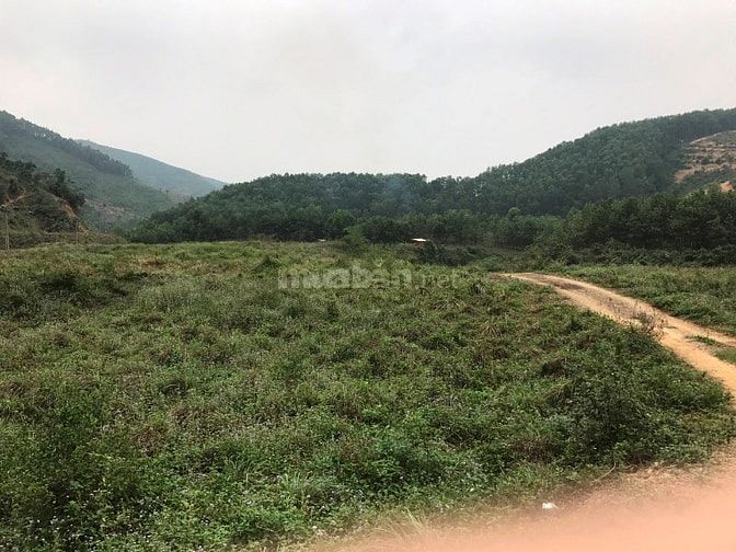 Bán 1,4 Ha đất thổ cư tại Trường Sơn, Lương Sơn, Hoà Bình. Giá 2 tỷ 49945265 Bán 1,4 Ha đất thổ cư tại Trường Sơn, Lương Sơn, Hoà Bình. Giá 2 tỷ