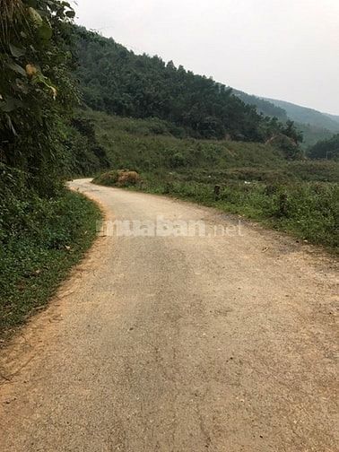 Bán 1,4 Ha đất thổ cư tại Trường Sơn, Lương Sơn, Hoà Bình. Giá 2 tỷ 49945265 Bán 1,4 Ha đất thổ cư tại Trường Sơn, Lương Sơn, Hoà Bình. Giá 2 tỷ