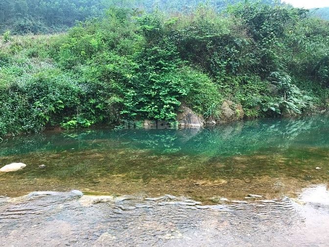 Bán 1,4 Ha đất thổ cư tại Trường Sơn, Lương Sơn, Hoà Bình. Giá 2 tỷ 49945265 Bán 1,4 Ha đất thổ cư tại Trường Sơn, Lương Sơn, Hoà Bình. Giá 2 tỷ