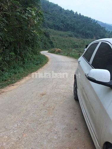 Bán 1,4 Ha đất thổ cư tại Trường Sơn, Lương Sơn, Hoà Bình. Giá 2 tỷ 49945265 Bán 1,4 Ha đất thổ cư tại Trường Sơn, Lương Sơn, Hoà Bình. Giá 2 tỷ