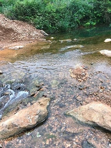 Bán 1,4 Ha đất thổ cư tại Trường Sơn, Lương Sơn, Hoà Bình. Giá 2 tỷ 49945265 Bán 1,4 Ha đất thổ cư tại Trường Sơn, Lương Sơn, Hoà Bình. Giá 2 tỷ