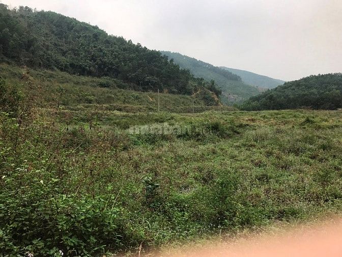 Bán 1,4 Ha đất thổ cư tại Trường Sơn, Lương Sơn, Hoà Bình. Giá 2 tỷ 49945265 Bán 1,4 Ha đất thổ cư tại Trường Sơn, Lương Sơn, Hoà Bình. Giá 2 tỷ