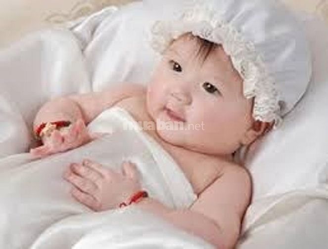 Mình muốn tìm bác nào có thể làm việc lâu dài, sạch sẽ, cẩn thận, yêu 49992544 Mình muốn tìm bác nào có thể làm việc lâu dài, sạch sẽ, cẩn thận, yêu