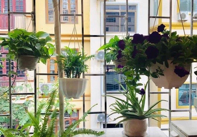 Bán nhà mặt phố Hai Bà Trưng, quận Hoàn Kiếm, DT 40 m2x 4 tầng, MT 4m 36959197 Bán nhà mặt phố Hai Bà Trưng, quận Hoàn Kiếm, DT 40 m2x 4 tầng, MT 4m