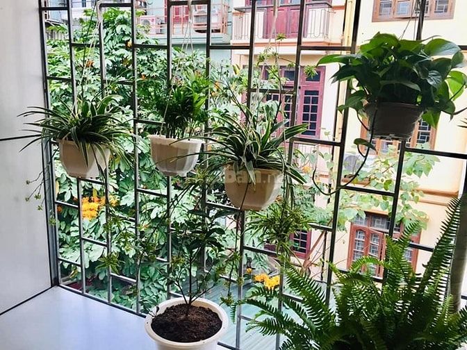Bán nhà mặt phố Hai Bà Trưng, quận Hoàn Kiếm, DT 40 m2x 4 tầng, MT 4m 36959197 Bán nhà mặt phố Hai Bà Trưng, quận Hoàn Kiếm, DT 40 m2x 4 tầng, MT 4m