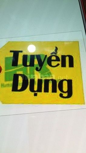 Siêu thị mini cần tuyển gấp 2 nhân viên hành chính nhân sự 50122484 Siêu thị mini cần tuyển gấp 2 nhân viên hành chính nhân sự