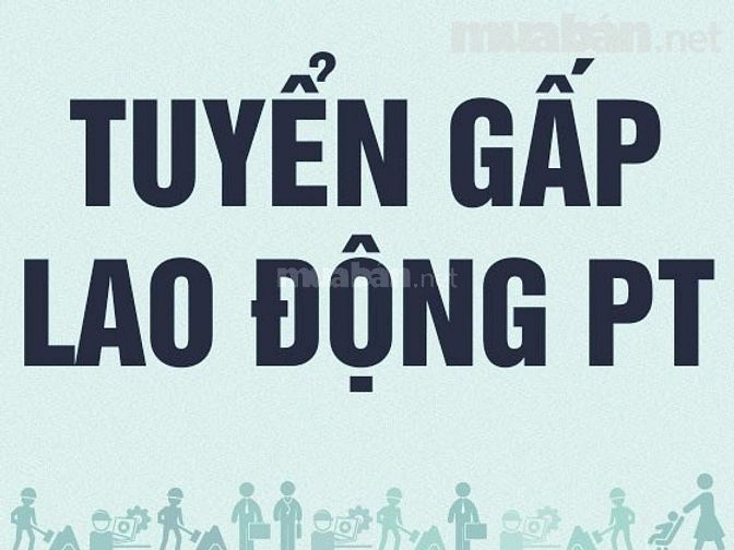 Tuyển Nhân viên nam - nữ hướng dẫn bãi xe toà nhà cao cấp, 50156280 Tuyển Nhân viên nam - nữ hướng dẫn bãi xe toà nhà cao cấp,