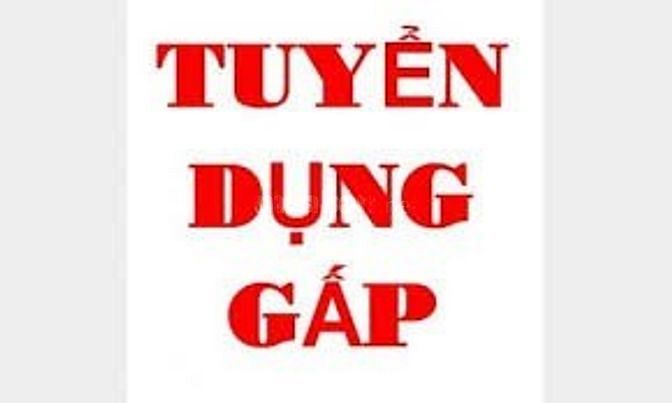 3 nhân viên xử lý ghi nhận giao dịch khách hàng 50140062 3 nhân viên xử lý ghi nhận giao dịch khách hàng