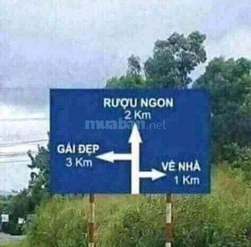 Mua gấp đất nền sổ đỏ 100m dự án Sở Văn hóa thông tin quận 9 50140637 Mua gấp đất nền sổ đỏ 100m dự án Sở Văn hóa thông tin quận 9