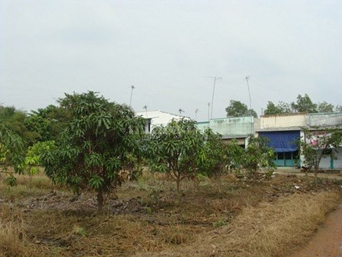 Đất xây dựng kho bãy diện tích lớn cần bán SHR, 50141175 Đất xây dựng kho bãy diện tích lớn cần bán SHR,