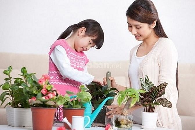 Vợ chồng cần thuê 2 nữ giúp việc nhà, 1 nữ chăm bà, 1 nữ giữ trẻ 50204807 Vợ chồng cần thuê 2 nữ giúp việc nhà, 1 nữ chăm bà, 1 nữ giữ trẻ
