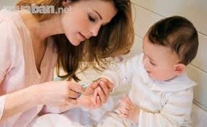 Gia đình em cần tìm 2 cô gvn, 1 chị trông bé, 1 cô chăm người già 50208513 Gia đình em cần tìm 2 cô gvn, 1 chị trông bé, 1 cô chăm người già