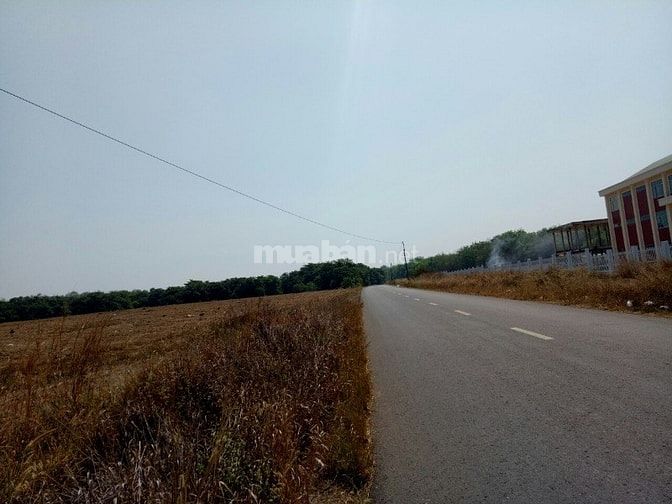 Bán đất cao su tân hòa đồng phú bình phươc 50233623 Bán đất cao su tân hòa đồng phú bình phươc