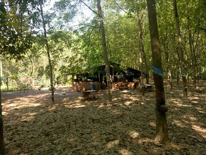 Bán đất cao su tân hòa đồng phú bình phươc 50233623 Bán đất cao su tân hòa đồng phú bình phươc