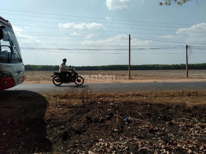 Đất Chơn Thành 1000m2/550tr, SHR công chứng ngay, MT đường nhựa 50427194 Đất Chơn Thành 1000m2/550tr, SHR công chứng ngay, MT đường nhựa