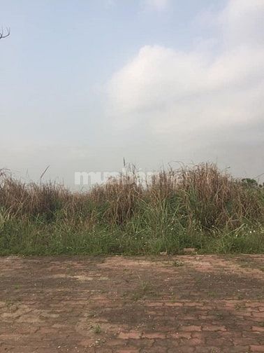 Bán đất ô góc 2 mặt tiền B8 - 517m2 khu đô thị Cao Xanh - Hà Khánh B 50466601 Bán đất ô góc 2 mặt tiền B8 - 517m2 khu đô thị Cao Xanh - Hà Khánh B