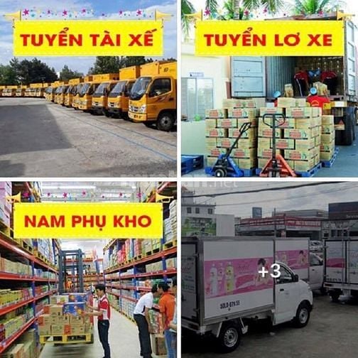 Cần Gấp 20 Tài Xế, 30 Lơ Xe 60 Nam Phụ Kho Bánh Kẹo 50477360 Cần Gấp 20 Tài Xế, 30 Lơ Xe 60 Nam Phụ Kho Bánh Kẹo