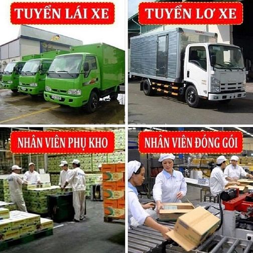 Tuyển Tài Xế Và Nam Phụ Kho Hoặc Lơ Xe Tải Lương Coa Bao Ăn Ở 50478758 Tuyển Tài Xế Và Nam Phụ Kho Hoặc Lơ Xe Tải Lương Coa Bao Ăn Ở