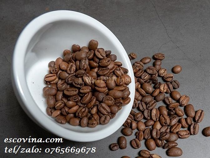 Cà phê rang mộc chế biến ướt chín 100% nhặt tay giá tốt tại Q1 50480969 Cà phê rang mộc chế biến ướt chín 100% nhặt tay giá tốt tại Q1
