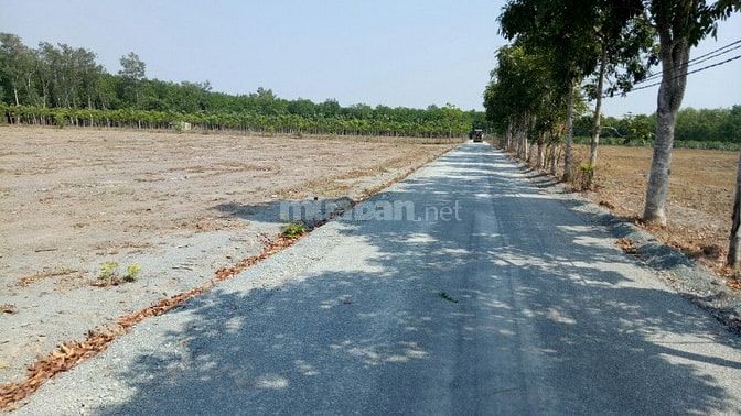 Cần bán nhanh 200m2 đất thị trấn Chơn Thành shr 50502573 Cần bán nhanh 200m2 đất thị trấn Chơn Thành shr