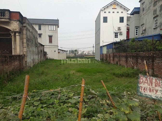 Cần bán 470m2 đất cạnh khu hành chính huyện Mê Linh 50622414 Cần bán 470m2 đất cạnh khu hành chính huyện Mê Linh