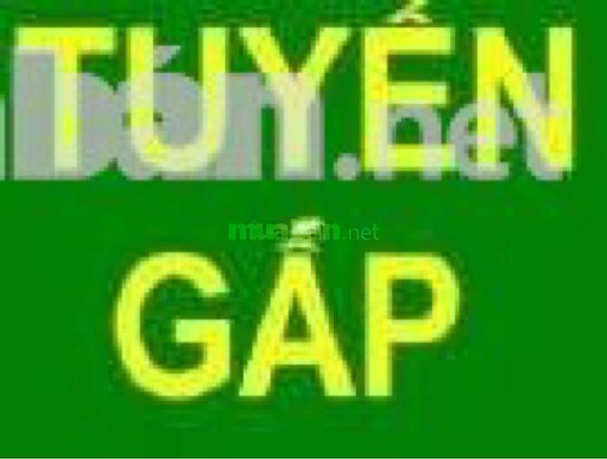 Cty cần tuyển 5 nhân viên Y Dược làm việc tại công ty 50643224 Cty cần tuyển 5 nhân viên Y Dược làm việc tại công ty