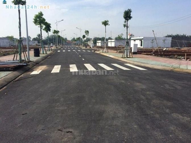 Nhà có việc cần ra lô đất với giá rẻ bèo 50631202 Nhà có việc cần ra lô đất với giá rẻ bèo