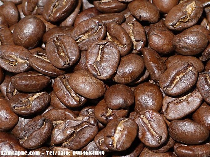 Cafe hạt nguyên chất giá sỉ tại quận Hai Bà Trưng,Hà Nội 50778646 Cafe hạt nguyên chất giá sỉ tại quận Hai Bà Trưng,Hà Nội