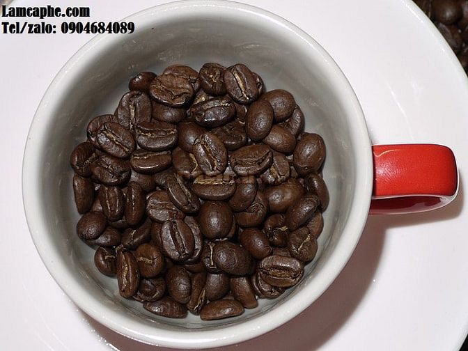 Cafe hạt nguyên chất giá sỉ tại quận Hai Bà Trưng,Hà Nội 50778646 Cafe hạt nguyên chất giá sỉ tại quận Hai Bà Trưng,Hà Nội