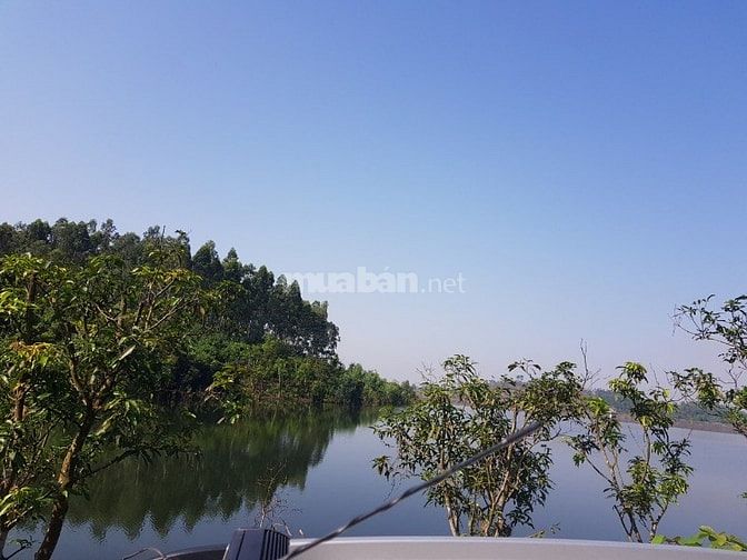 Chính chủ bán đất Hồ Cầu Cà Hiền Ninh sóc sơn hà nội 50818387 Chính chủ bán đất Hồ Cầu Cà Hiền Ninh sóc sơn hà nội