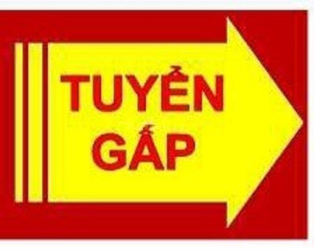 Công ty cần tuyển 01 nhân viên văn phòng hành chính nhân sự 50854371 Công ty cần tuyển 01 nhân viên văn phòng hành chính nhân sự