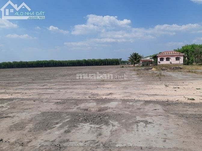 Bán đất Chơn Thành giá từ chủ đầu tư 1000m2 chỉ 550tr MT DT756 SHR 50830839 Bán đất Chơn Thành giá từ chủ đầu tư 1000m2 chỉ 550tr MT DT756 SHR