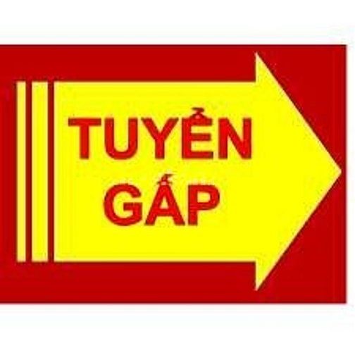 Cần tuyển nhân viên làm việc tại văn phòng làm giờ hành chính 50865409 Cần tuyển nhân viên làm việc tại văn phòng làm giờ hành chính