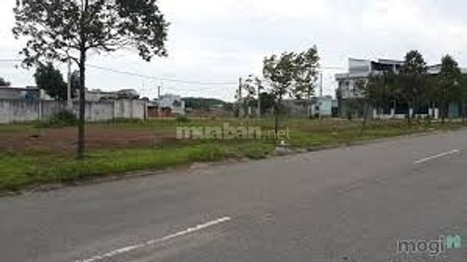 Bán đất chính chủ liền kề Gò Vấp, cách 5 phút, sổ đỏ riêng 50887925 Bán đất chính chủ liền kề Gò Vấp, cách 5 phút, sổ đỏ riêng