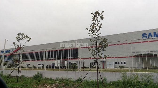Cho thuê kho xưởng 600m2,1200m2,3000m2 Kcn Quang Minh Mê Linh Hà Nội 50967125 Cho thuê kho xưởng 600m2,1200m2,3000m2 Kcn Quang Minh Mê Linh Hà Nội