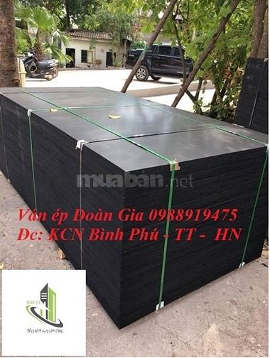 Ván cốt pha phủ phim giá rẻ 12mm, 15mm, 18mm 50954759 Ván cốt pha phủ phim giá rẻ 12mm, 15mm, 18mm