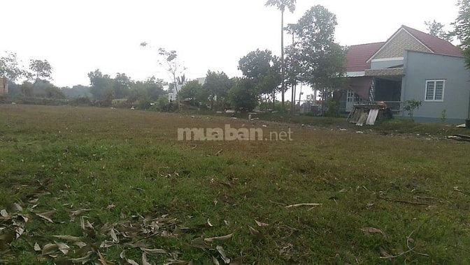 Chủ bán gấp lô đất, 5x20m, đường Basa, sổ đỏ, 700tr, thương lượng 50981663 Chủ bán gấp lô đất, 5x20m, đường Basa, sổ đỏ, 700tr, thương lượng